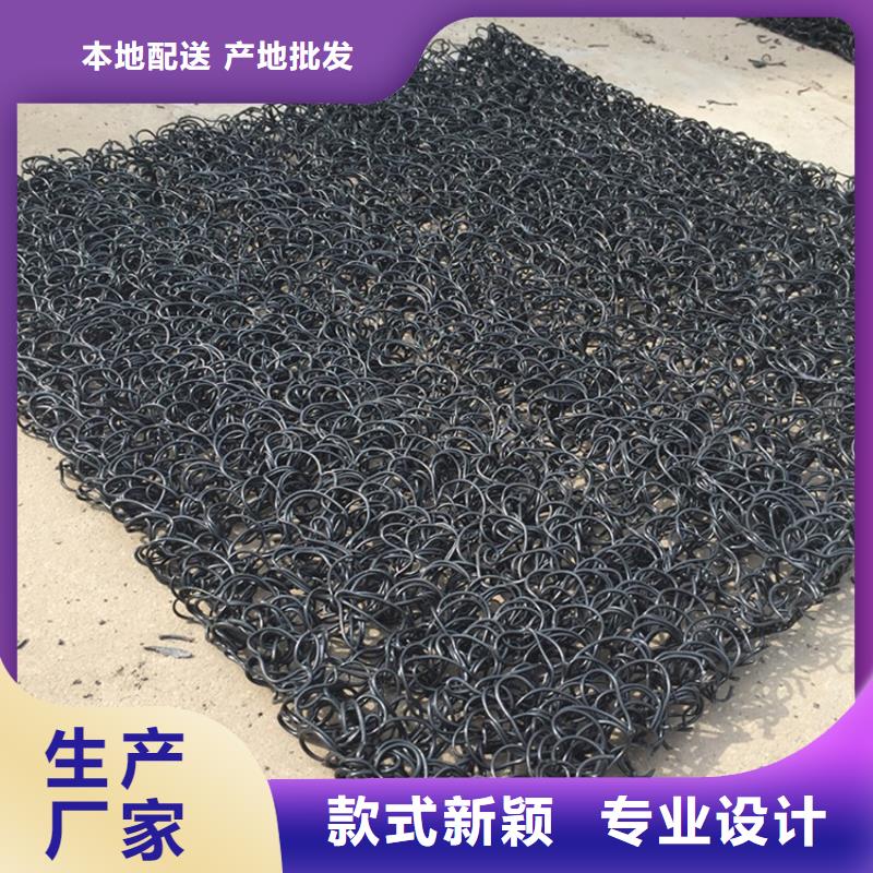 支持大小批量采购(鼎诺)土工席垫防水板厂家货源