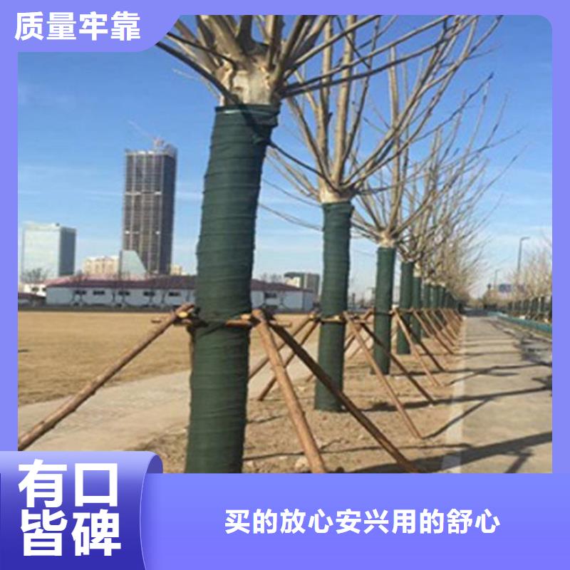裹樹布_防草布一致好評產品