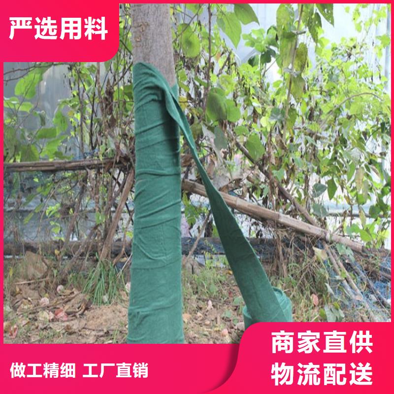 裹樹布_【防水膜】常年供應
