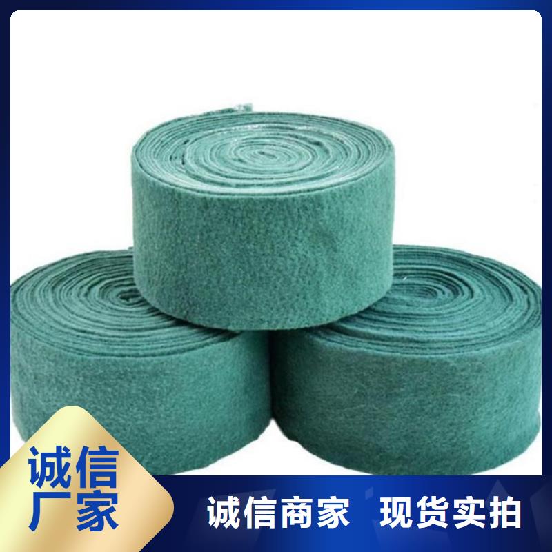 【裹樹布】防水板品質優選