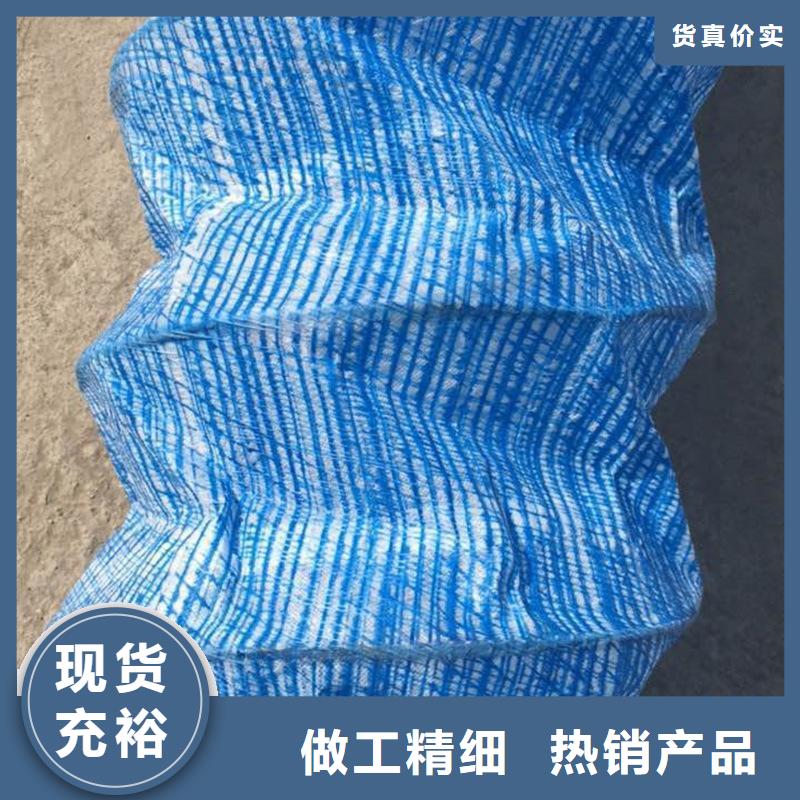 軟式透水管三維植被網(wǎng)專業(yè)生產(chǎn)廠家