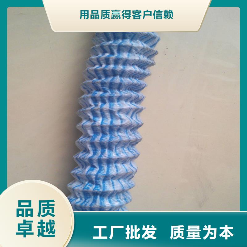 軟式透水管三維植被網專業生產廠家