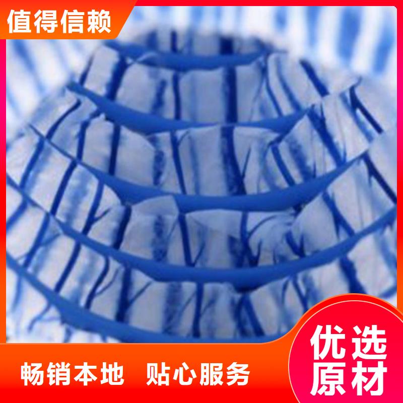 軟式透水管三維植被網專業生產廠家