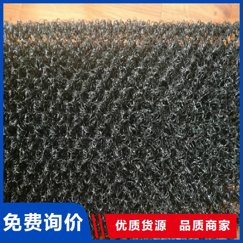水土保護毯雙向塑料土工格柵專注品質