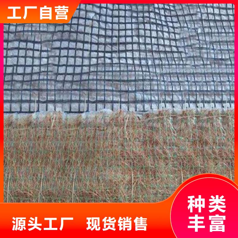 【椰絲毯】塑料土工格柵工廠采購