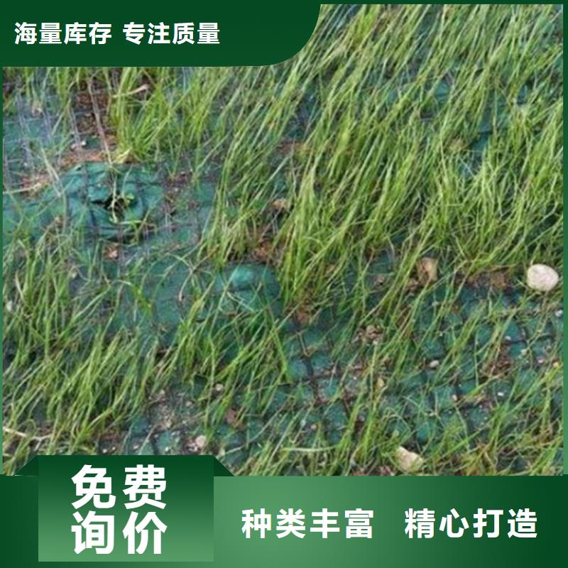 椰絲毯_防滲膜有口皆碑