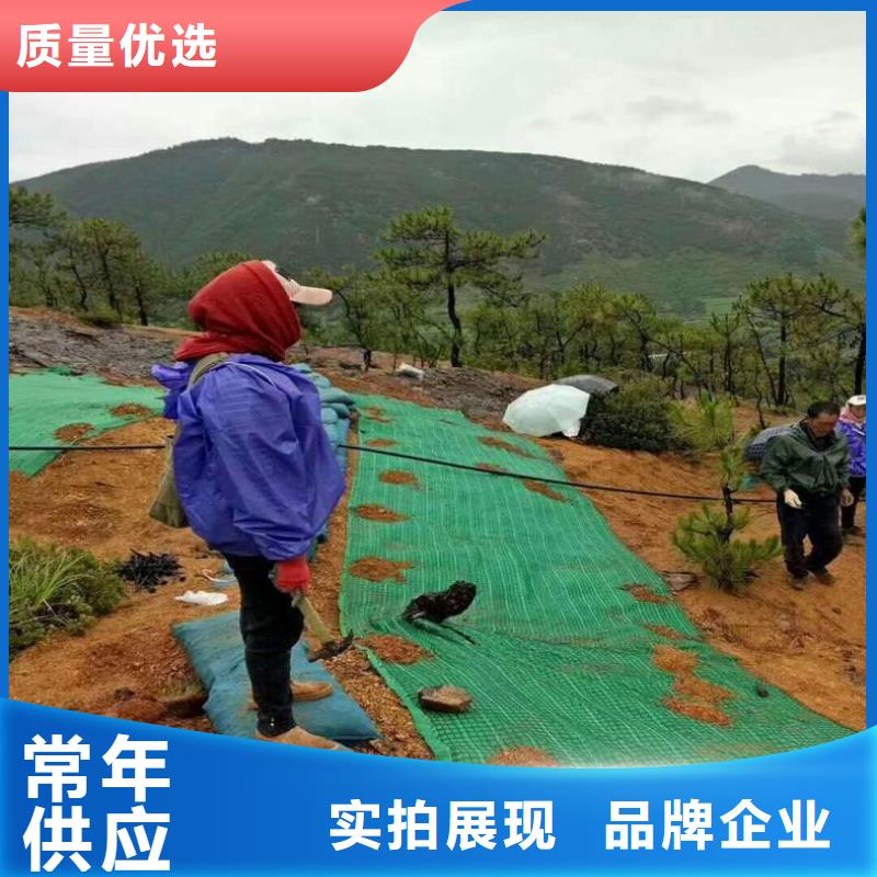 椰絲毯土工膜廠誠信經營