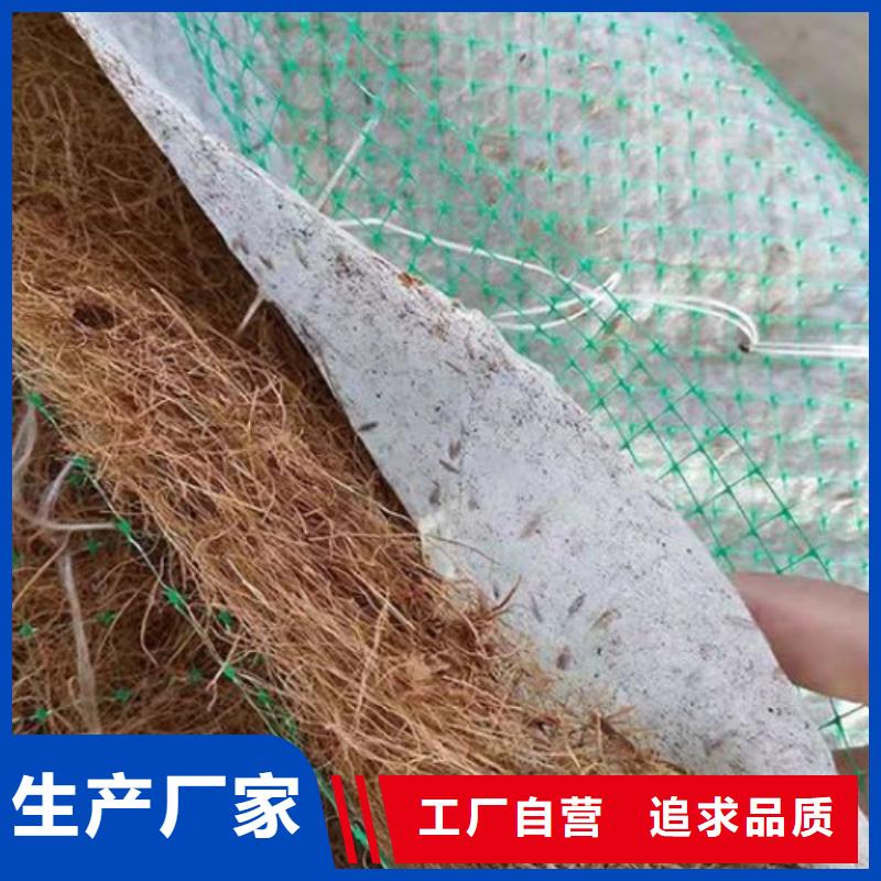 椰丝毯,土工膜工程施工案例