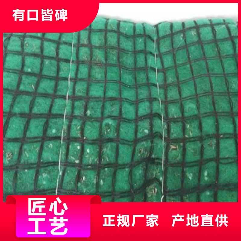 【椰絲毯】塑料土工格柵工廠采購