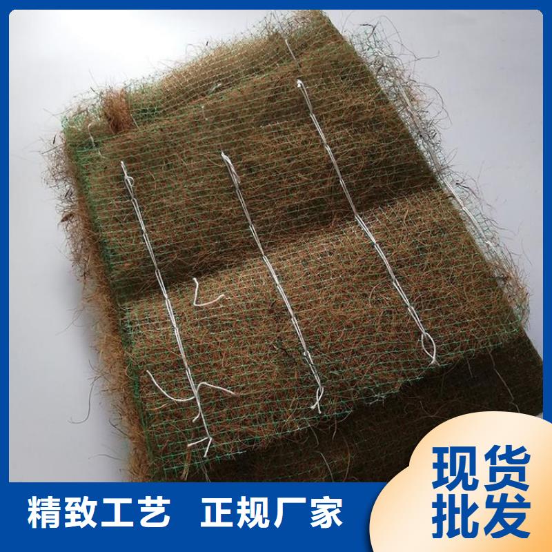 【椰絲毯】塑料土工格柵工廠采購