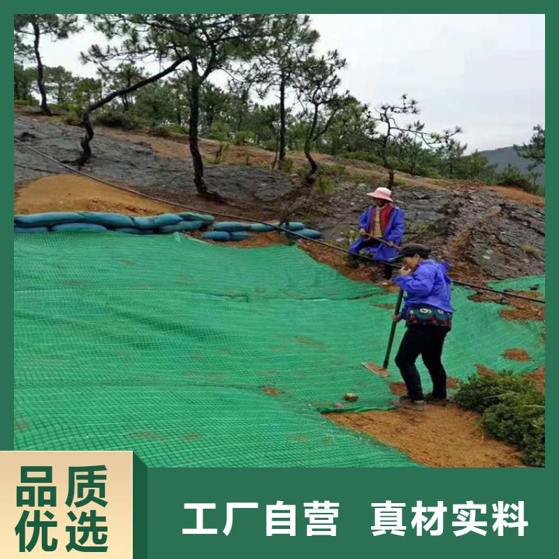 椰絲毯土工膜廠誠信經(jīng)營