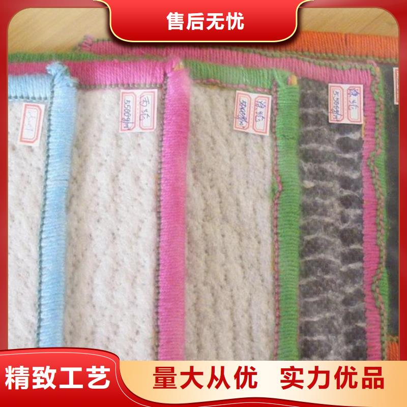 膨潤土防水毯蓄水板實力見證