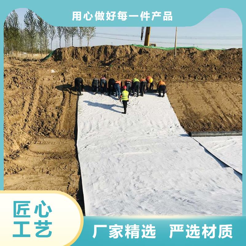 膨潤土防水毯_防滲膜好品質(zhì)售后無憂