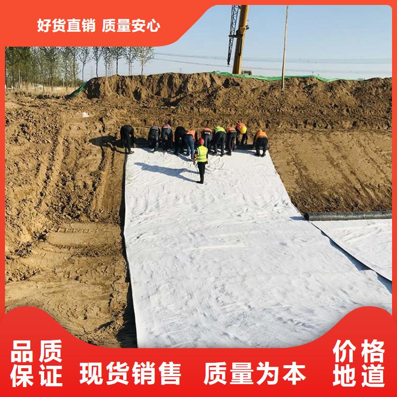 膨潤土防水毯土工格柵實力雄厚品質保障