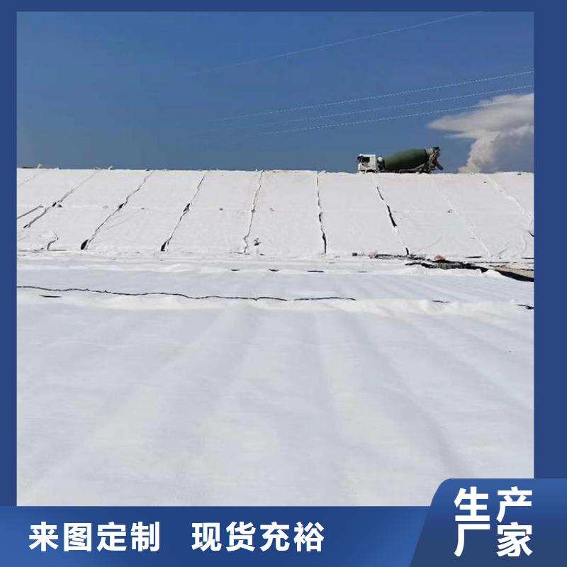 膨潤土防水毯雙向土工格柵廠家規格全