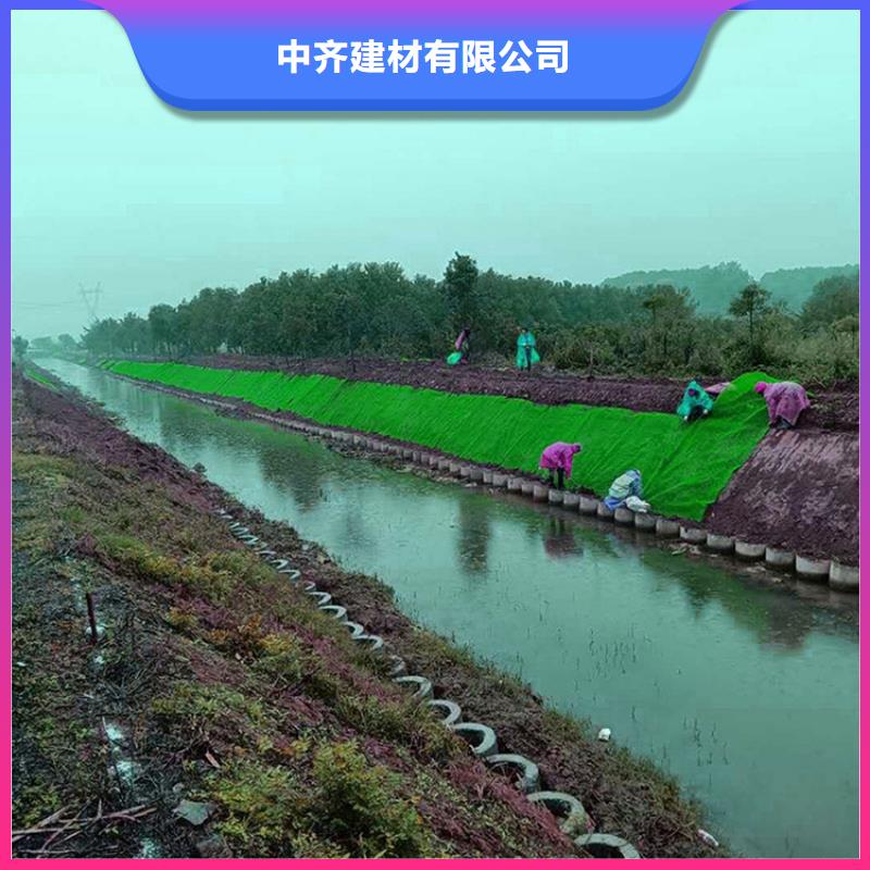 三維植被網-80KN玻纖格柵專注細節使用放心
