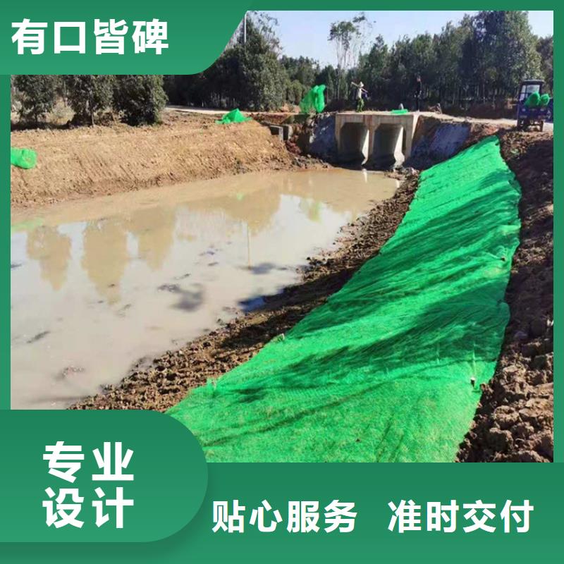 三維植被網_【土工網墊】實力見證