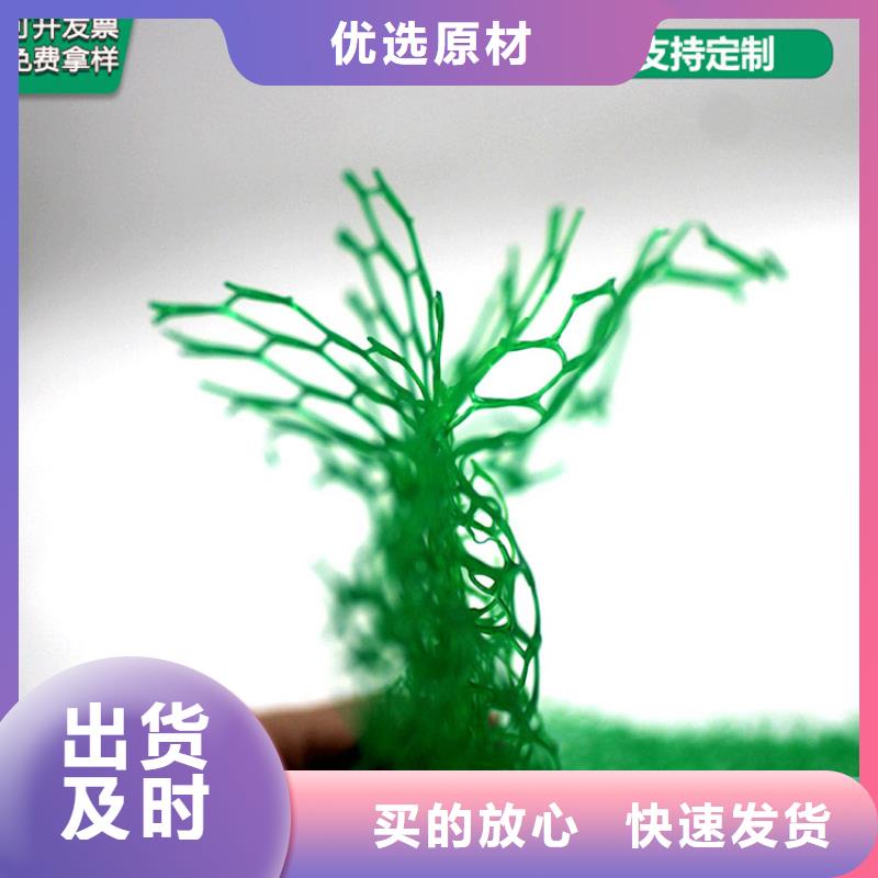 三维植被网_土工膜厂家技术完善