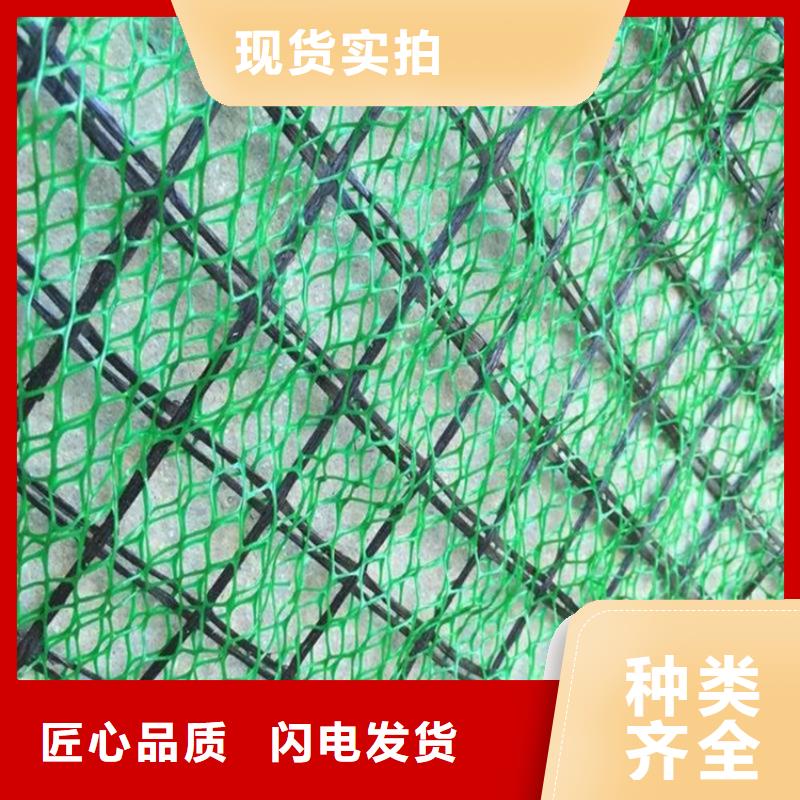 三維植被網_【土工布】真材實料