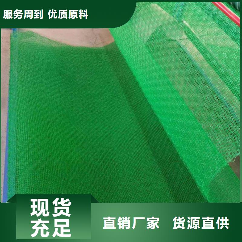 三維植被網(wǎng)-80KN玻纖格柵專注細節(jié)使用放心