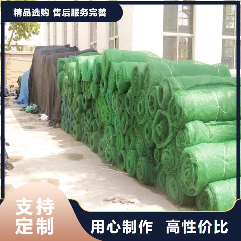 三維植被網_【土工網墊】實力見證