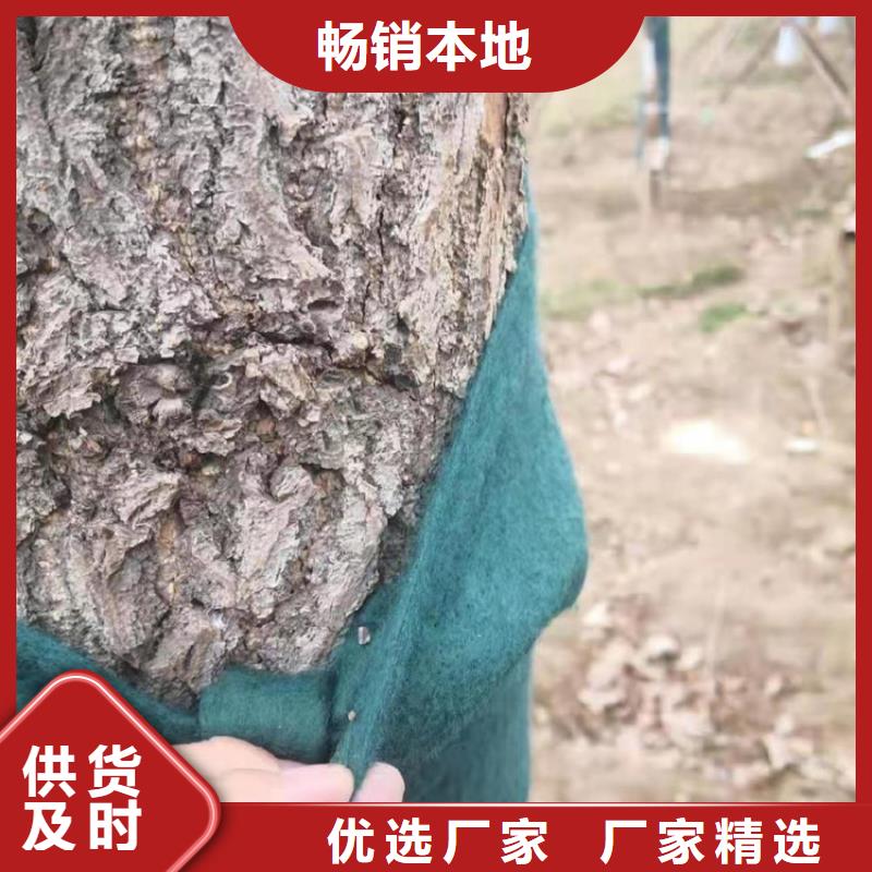 裹樹布土工布客戶滿意度高