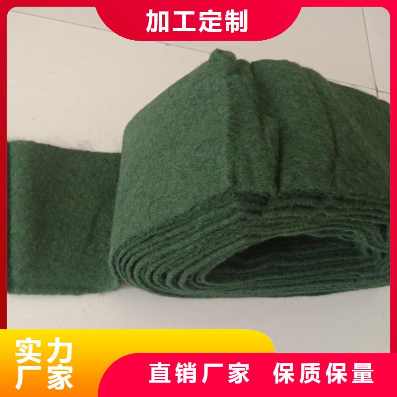裹樹布【單向塑料土工格柵】工廠批發