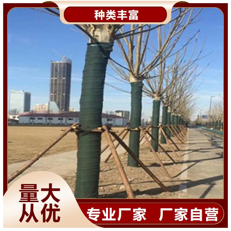 裹樹布塑料盲溝低價貨源