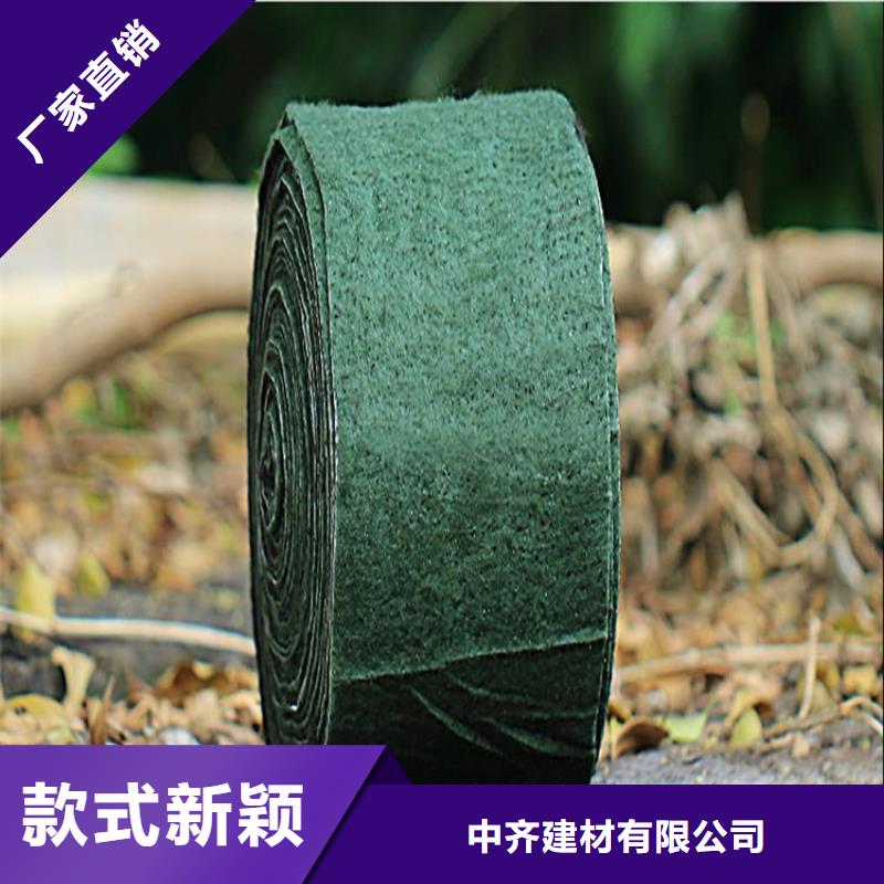 裹樹布【單向塑料土工格柵】工廠批發