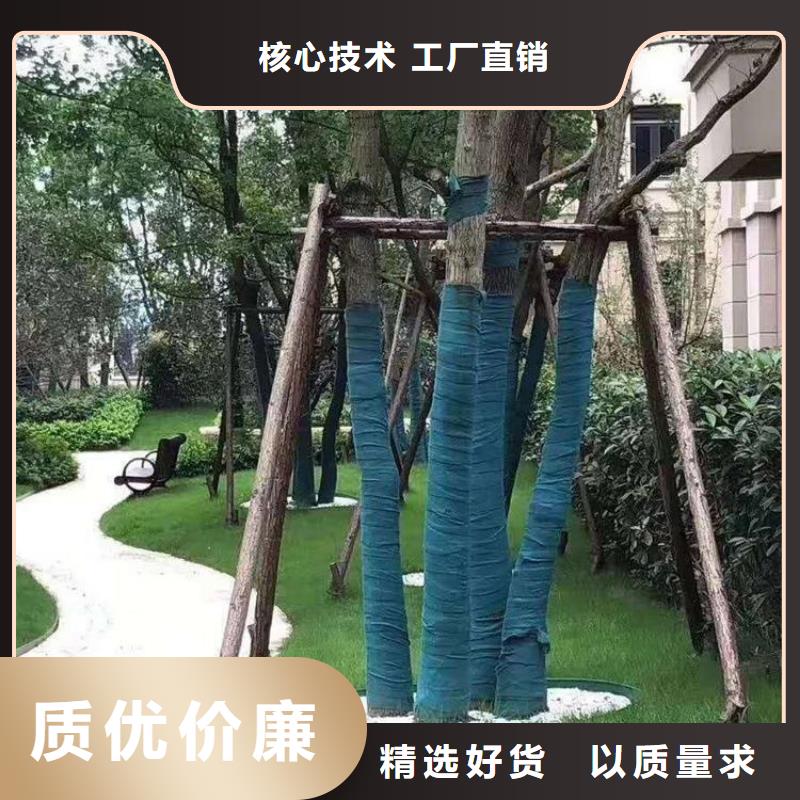 裹樹布-螺旋管價(jià)格有優(yōu)勢