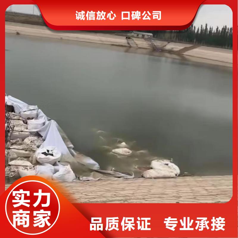 水中浇筑可定制浪淘沙水工