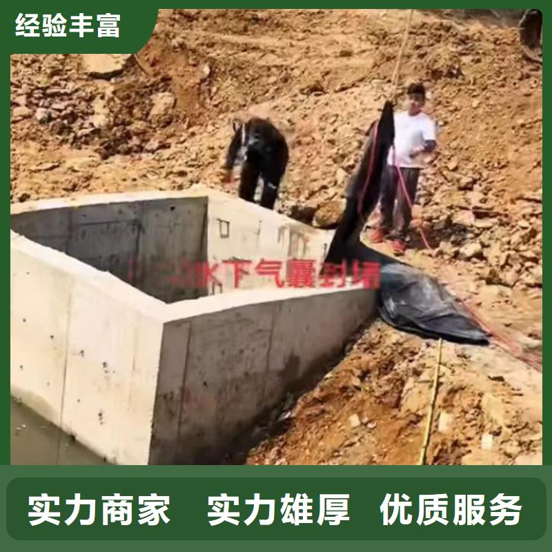 【水下作業潛水員服務】水池堵漏快速