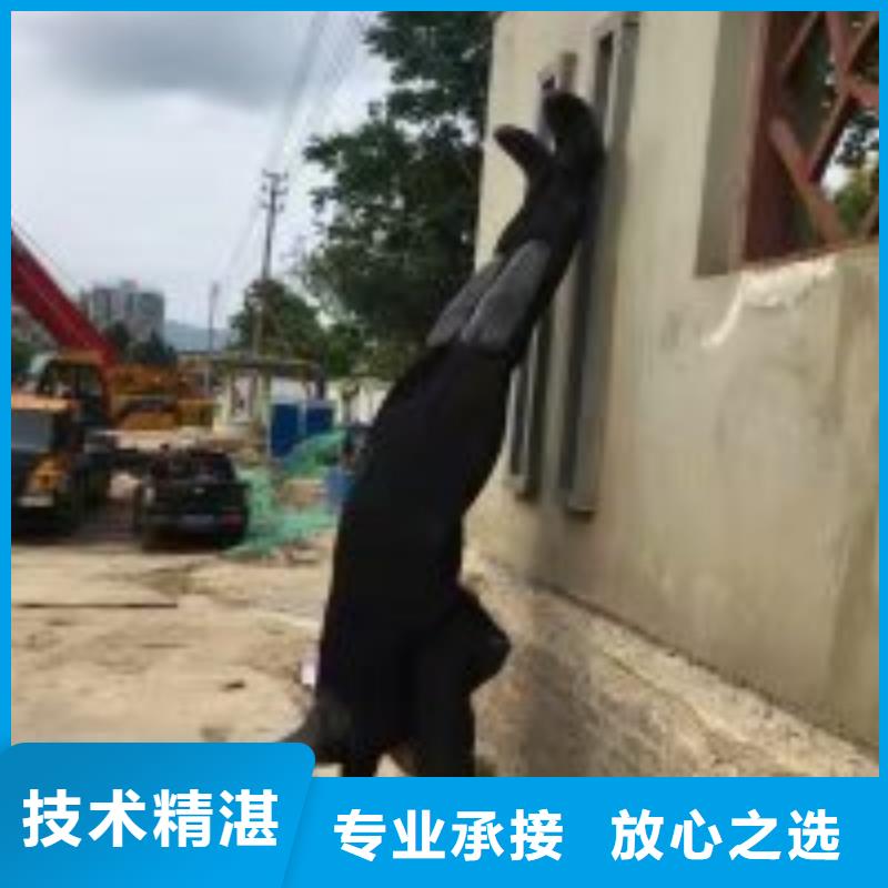 潛水員,水下探摸工程正規團隊