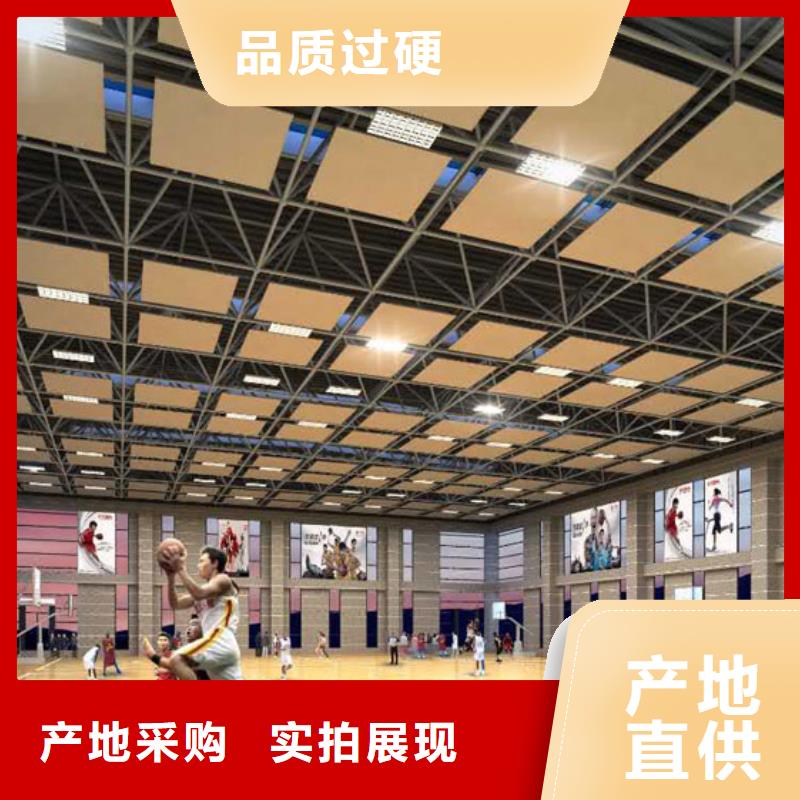 广东省供货及时[凯音]篮球馆体育馆吸音改造公司--2024最近方案/价格
