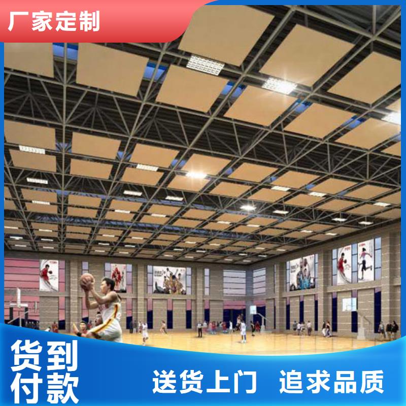河北省同城[凯音]县体育馆声学提升改造价格--2024最近方案/价格