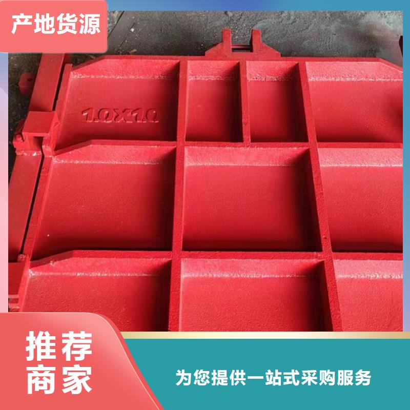 灌區(qū)進水節(jié)制閘斗渠鑄鐵閘門哪里賣