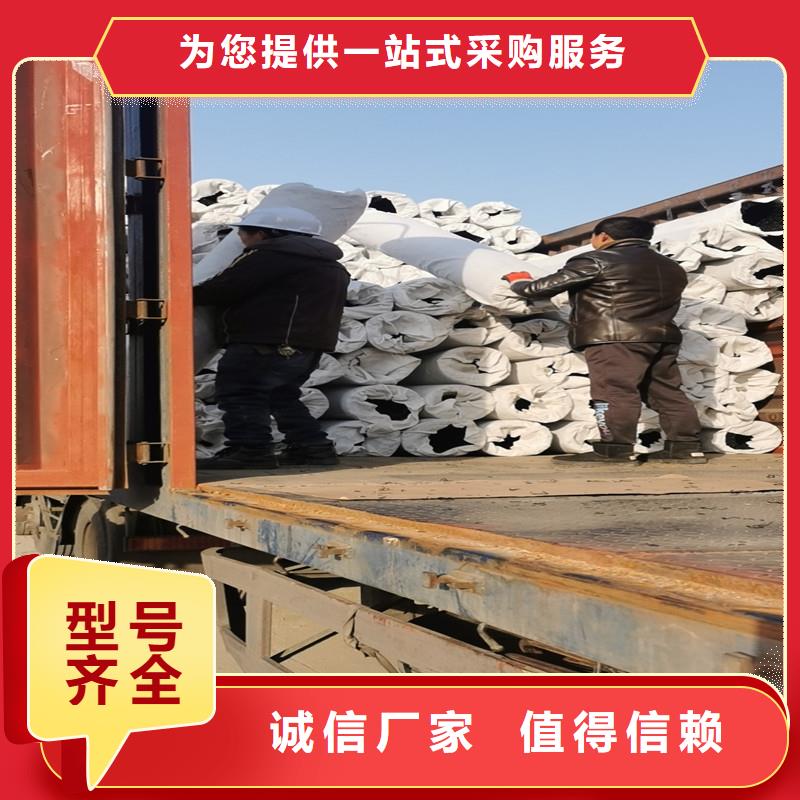 排水盲管止水銅片價格公道合理
