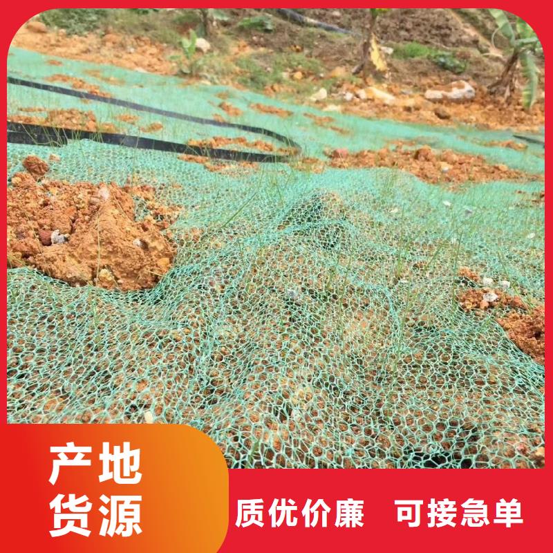 三維植被網_【紫銅止水片廠家】大量現貨