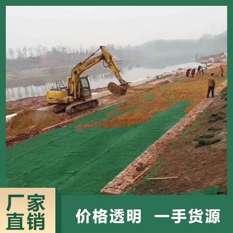 三維植被網紫銅止水片來圖定制