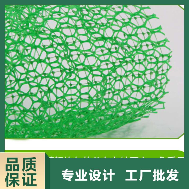 三維植被網【JK-7螺旋形】工程施工案例