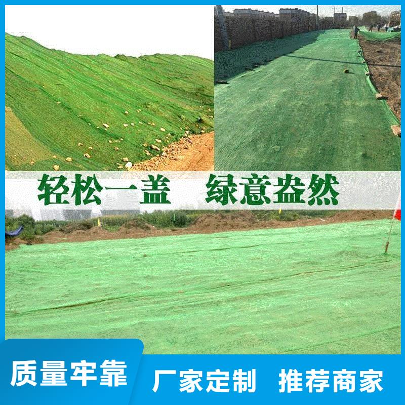 三維植被網瀝青木絲板供應商