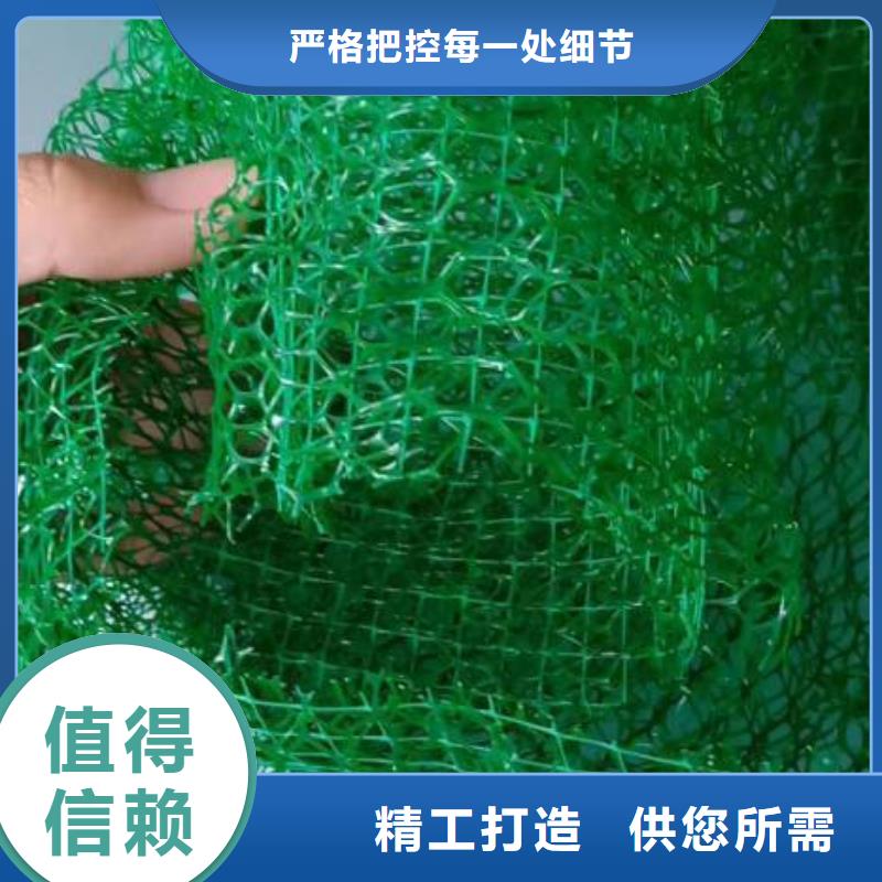 三維植被網(wǎng)【JK-7螺旋形】工程施工案例
