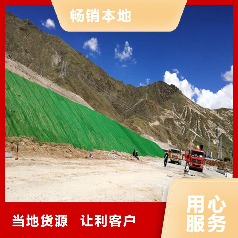 三維植被網(wǎng)土工布規(guī)格齊全