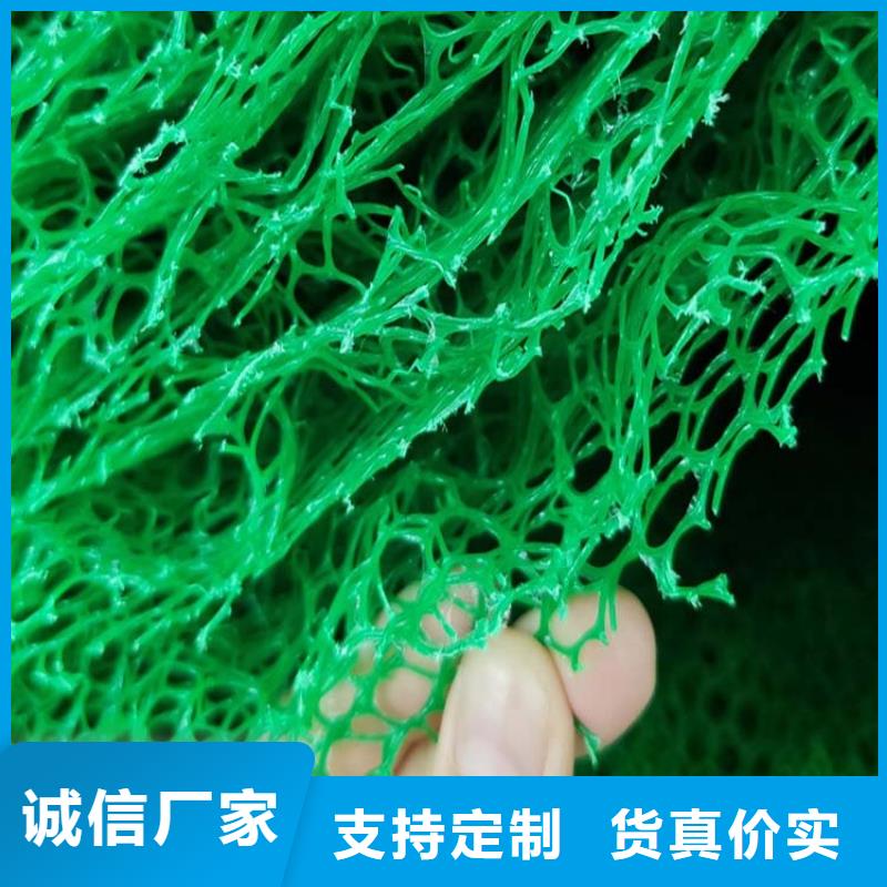 三維植被網【JK-7螺旋形】工程施工案例