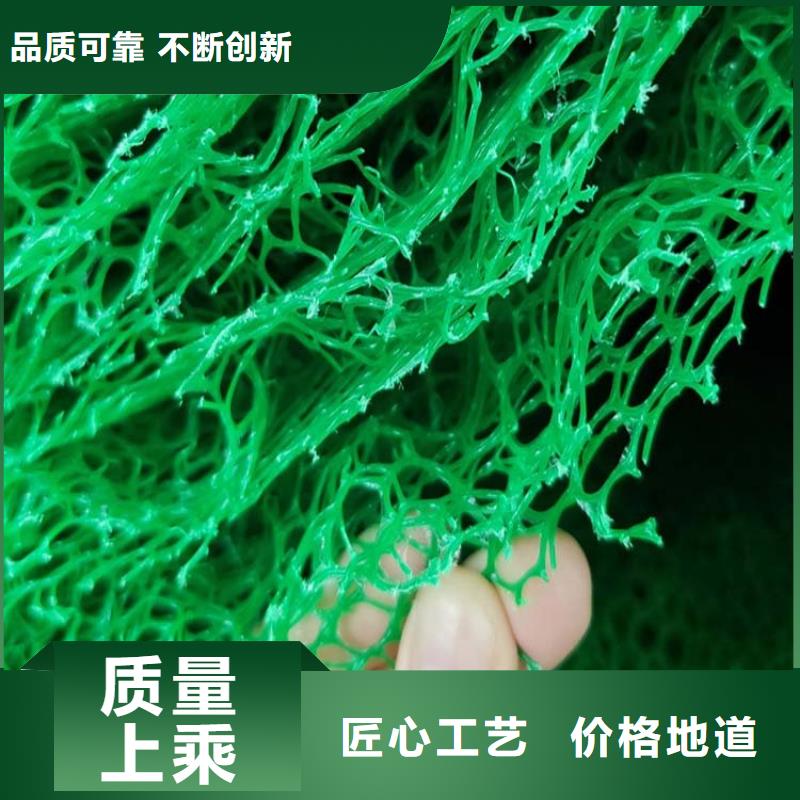 三維植被網_瀝青纖維板海量現貨