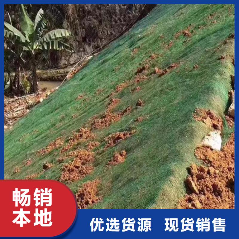 【三維植被網銅片止水廠家專注生產制造多年】
