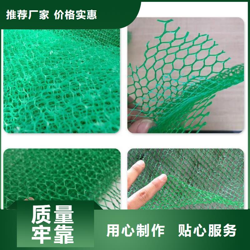 三維植被網止水銅片源頭工廠量大優惠