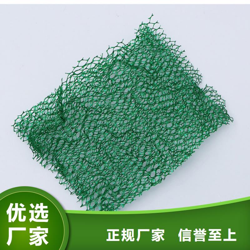 三維植被網止水銅片源頭工廠量大優惠