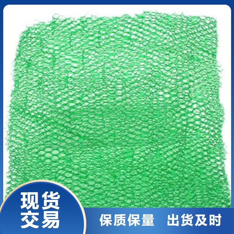 三維植被網止水銅片源頭工廠量大優惠