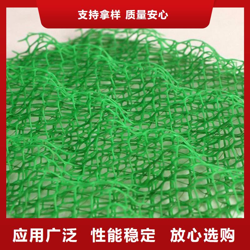 塑料三维植被网供应商 塑料三维植被网本地金鸿耀厂家